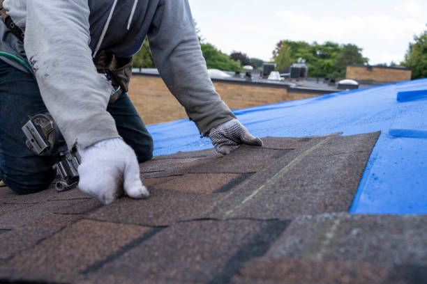 Residential Roof Replacement in Whitesboro, AL