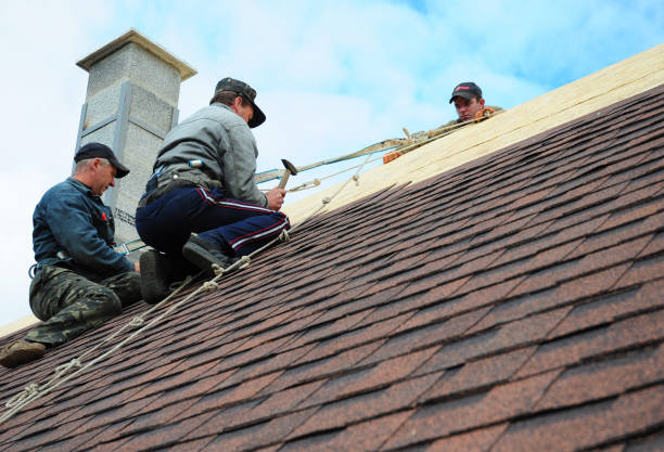 Best Gutter Installation and Roofing  in Whitesboro, AL